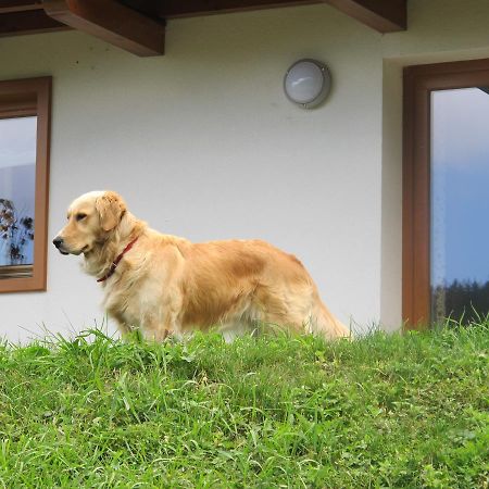 Appartement Il Cardo Trentino à Bedollo Extérieur photo