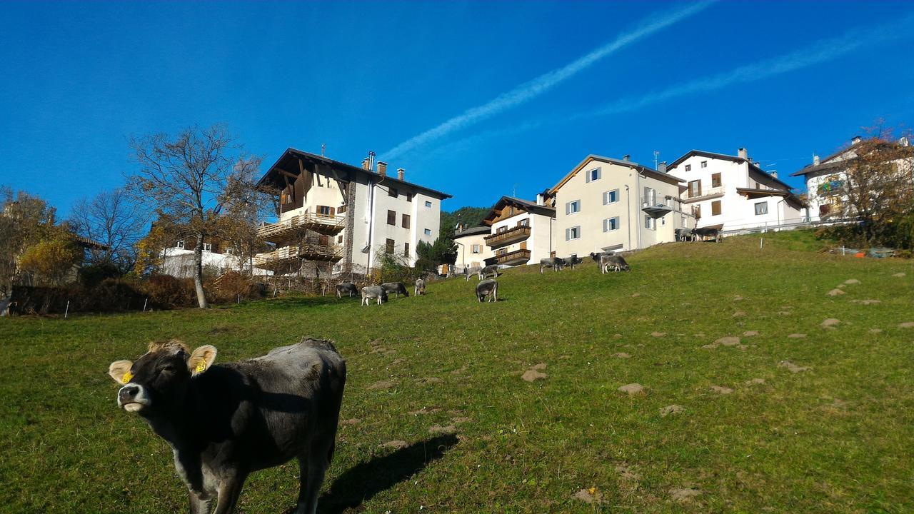 Appartement Il Cardo Trentino à Bedollo Extérieur photo