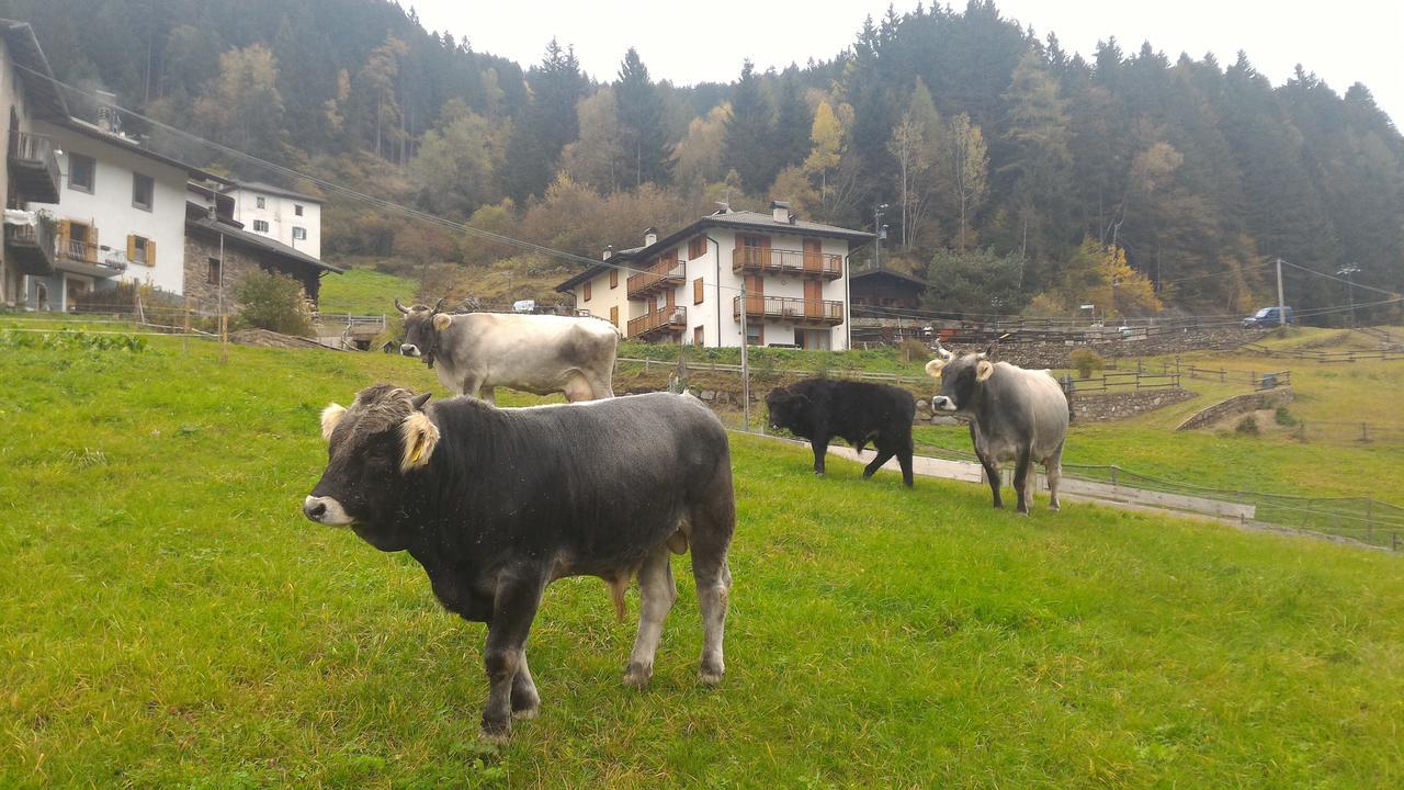 Appartement Il Cardo Trentino à Bedollo Extérieur photo