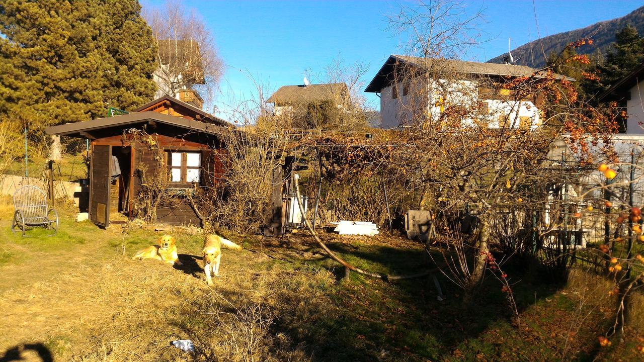 Appartement Il Cardo Trentino à Bedollo Extérieur photo